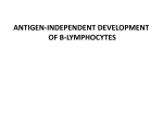 15 B cell development BA