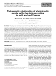 Phylogenetic relationship of phototrophic purple sulfur bacteria