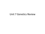 Unit 7 Genetics Review
