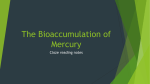The Bioaccumulation of Mercury - Phoenix Union High School District