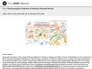 Pharmacological Treatment of Parkinson DiseaseA Review