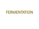 fermentation - PharmaStreet