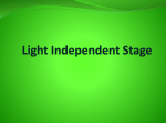 light independent stage