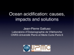 Ocean acidification: causes, impacts and solutions
