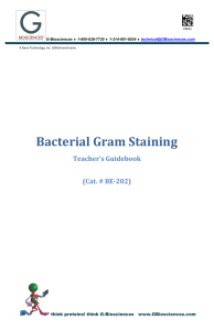 Bacterial Gram Staining - G