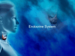 Endocrine System - Dayton Independent Schools