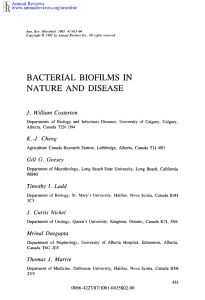 BACTERIAL BIOFILMS IN NATURE AND DISEASE