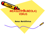 MEASLES (RUBEOLA) VIRUS