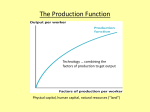 Figure 2.1 The Production Function