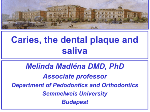 Caries, the dental plaque and saliva