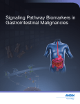 Signaling Pathway Biomarkers in Gastrointestinal Malignancies