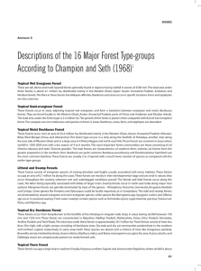 Descriptions of the 16 Major Forest Type-groups