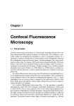 Confocal Fluorescence Microscopy
