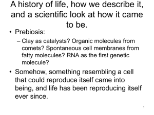 A history of life, how we describe it, and a scientific look at how it