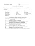 Neuron matching