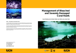 Management of Bleached and Severely Damaged Coral Reefs