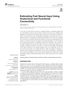 Estimating Fast Neural Input Using Anatomical and