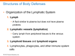 Lymphatic vessels