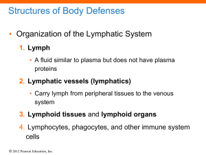 Lymphatic vessels