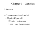 Chapter 3 - Genetics