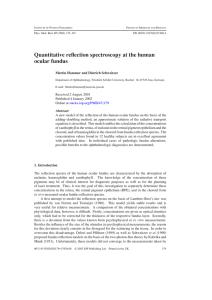 Quantitative reflection spectroscopy at the human ocular fundus