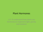 Hormones in Plants - Noadswood Science