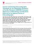 Current and Evolving Echocardiographic Techniques