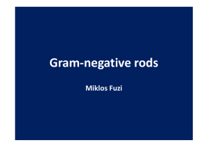 Gram-negative rods