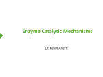 Enzyme Catalytic Mechanisms