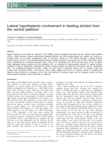 Lateral hypothalamic involvement in feeding elicited from the ventral