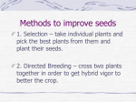 Methods to improve seeds