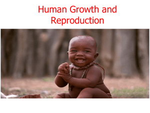 Human Growth and Development Powerpoint