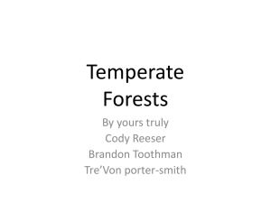 Temperate Forests - Hardin.k12.ky.us