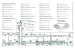 Revolutionary City Trees