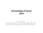 Cancer Immunology (Jeffrey K. Actor, Ph.D.)