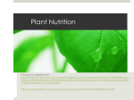 Plant Nutrition - California Science Teacher