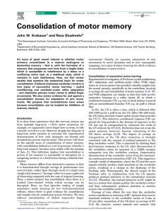 Consolidation of motor memory