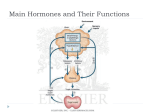 Main Hormones and Their functions