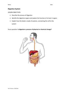 Digestive System