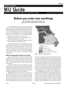 Before you order tree seedlings - Forest and Woodland Association