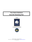 7 Sentence marketing Plan Workbook