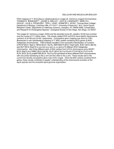 Title: FISH analysis comparing the gene composition of the Onager