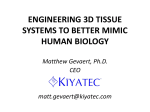 engineering 3d tissue systems to better mimic human biology
