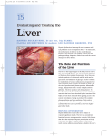 Evaluating and Treating the Liver