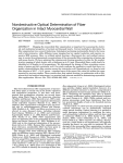 Nondestructive optical determination of fiber organization in intact