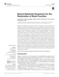 Neural Substrate Expansion for the Restoration of Brain
