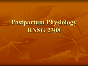 Postpartum Physiology RNSG 2308