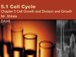 5.1 Cell Cycle