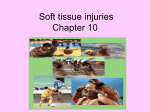 Soft tissue injuries Chapter 10