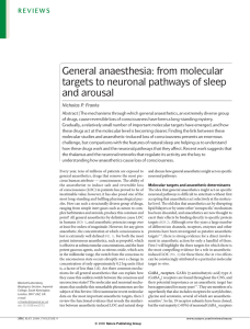 General anaesthesia: from molecular targets to neuronal